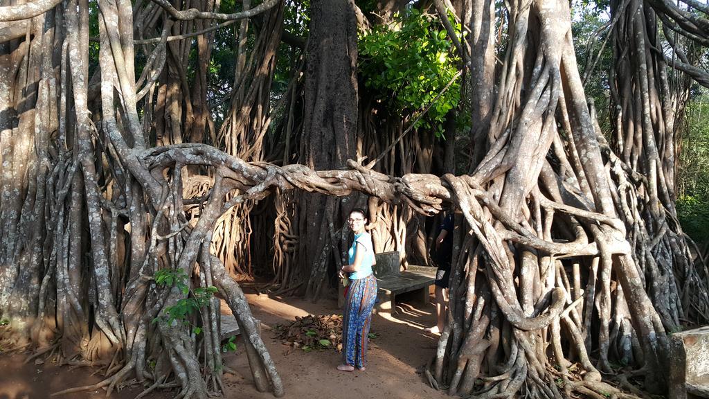 City Resort Anuradhapura Bagian luar foto